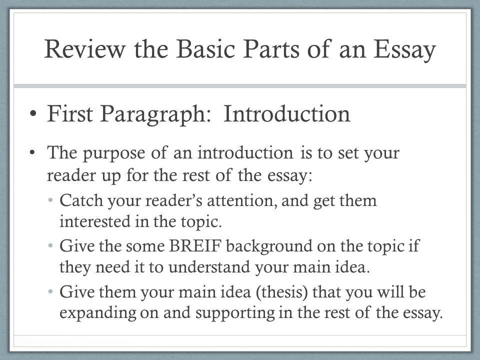 What are the parts of a basic paragraph in an essay